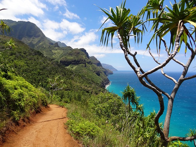 Nawiliwili Shore Excursions