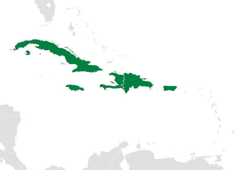 Caribbean Shore Excursions