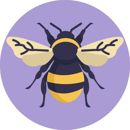 Beekeeping Experience